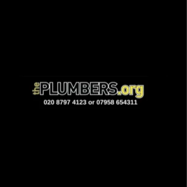 theplumbers.org logo