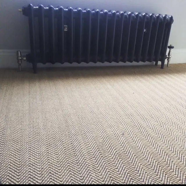 Traditional cast-iron column radiator in navy blue installed against a period wall with herringbone carpet.