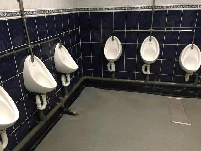 Commercial washroom plumbing with a run of urinals and exposed chrome pipework against navy blue tiling.